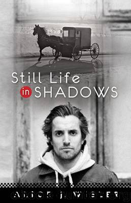 Still Life in Shadows by Alice J. Wisler