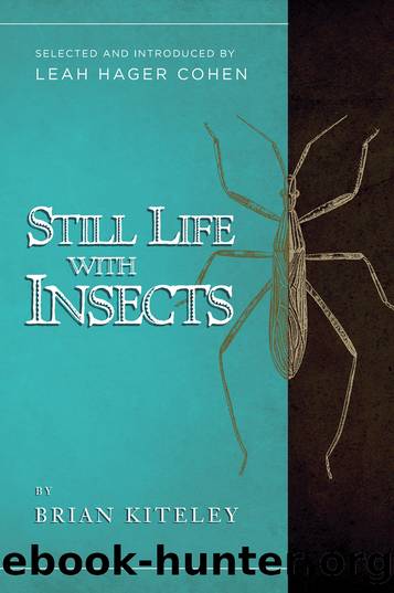 Still Life with Insects by Brian Kiteley