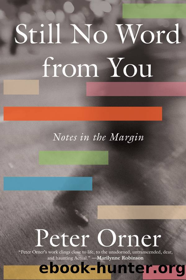 Still No Word from You by Peter Orner