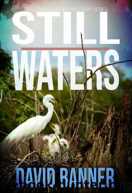 Still Waters by David Banner