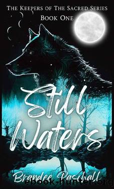 Still Waters: The Keepers of The Sacred Series: Book One by Brandee Paschall