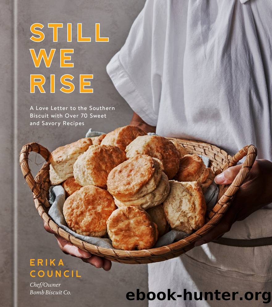 Still We Rise by Erika Council