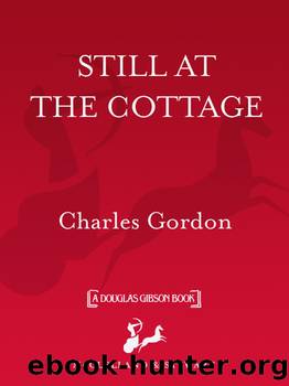 Still at the Cottage by Charles Gordon