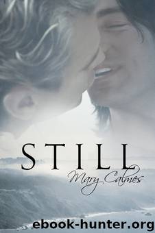 Still by Mary Calmes
