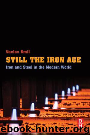 Still the Iron Age by Vaclav Smil