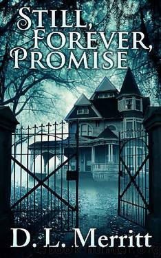 Still, Forever, Promise by D. L. Merritt