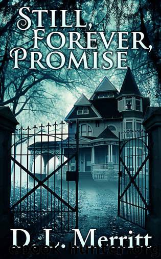 Still, Forever, Promise by Merritt D. L