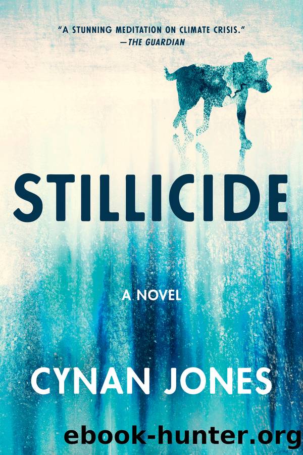 Stillicide by Cynan Jones