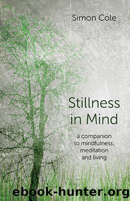 Stillness in Mind by Simon Cole