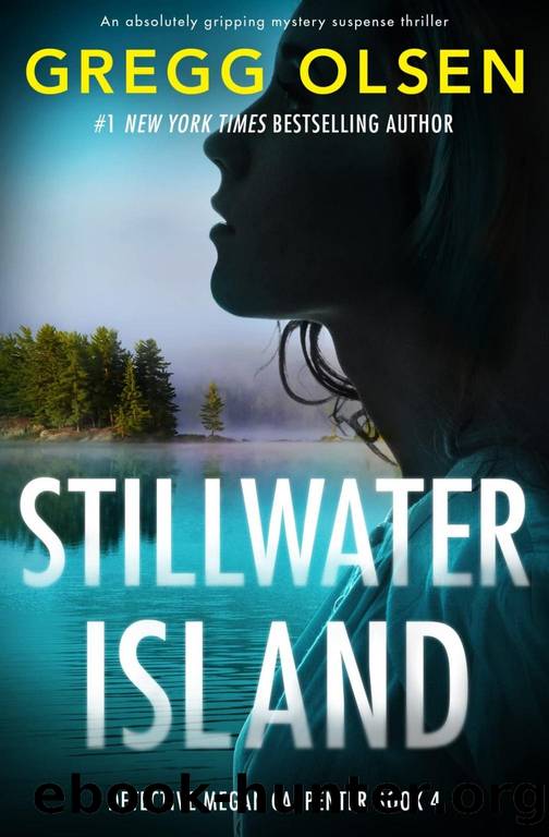 Stillwater Island - Detective Megan Carpenter Series 04 (2021) by Olsen Gregg