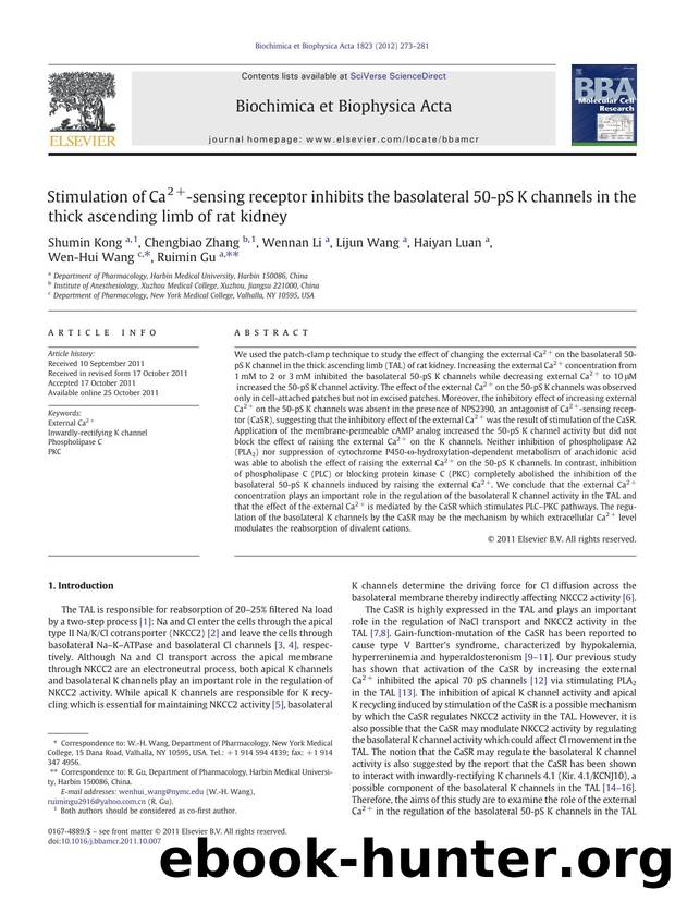 Stimulation of Ca2+-sensing receptor inhibits the basolateral 50-pS K channels in the thick ascending limb of rat kidney by Shumin Kong & Chengbiao Zhang & Wennan Li & Lijun Wang & Haiyan Luan & Wen-Hui Wang & Ruimin Gu