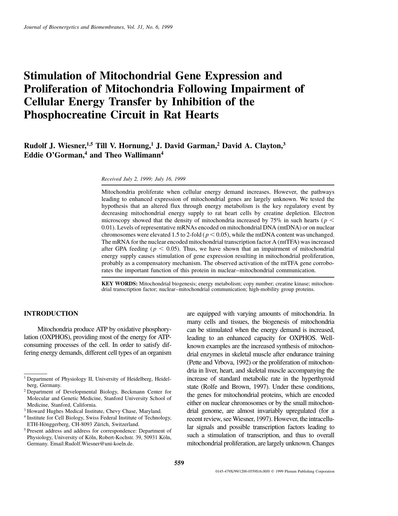 Stimulation of Mitochondrial Gene Expression and Proliferation of Mitochondria Following Impairment of Cellular Energy Transfer by Inhibition of the Phosphocreatine Circuit in Rat Hearts by Unknown