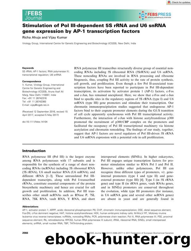 Stimulation of Pol IIIâdependent 5S rRNA and U6 snRNA gene expression by APâ1 transcription factors by Unknown
