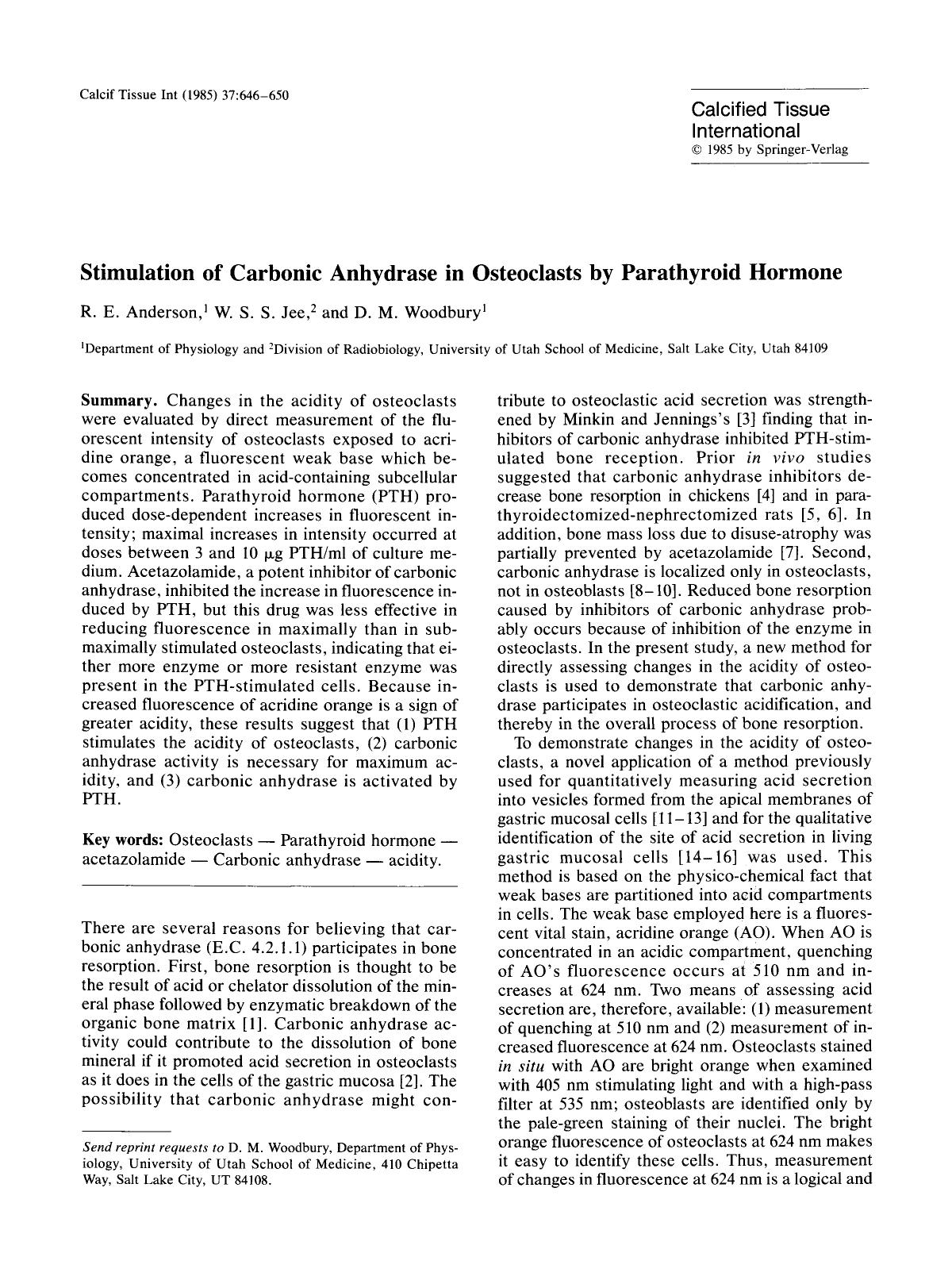 Stimulation of carbonic anhydrase in osteoclasts by parathyroid hormone by Unknown
