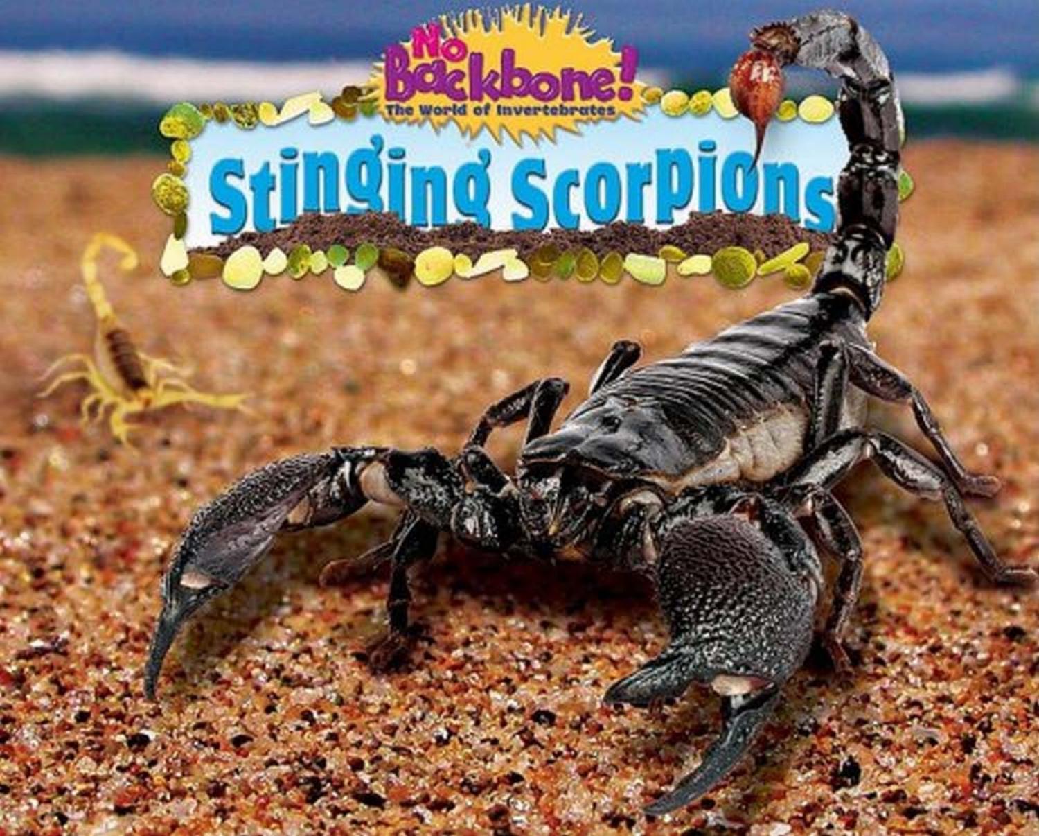 Stinging Scorpions (No Backbone! the World of Invertebrates) by Natalie Lunis