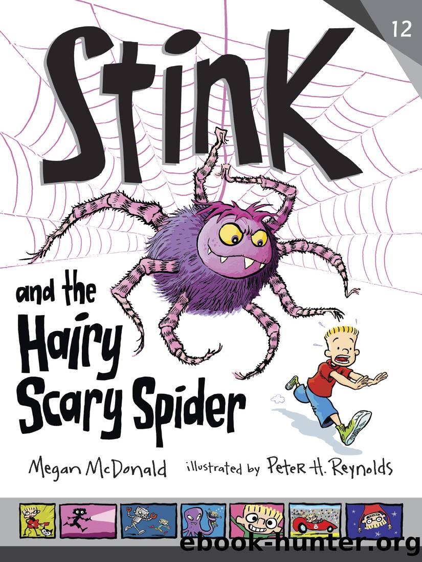 Stink and the Hairy Scary Spider by Megan McDonald