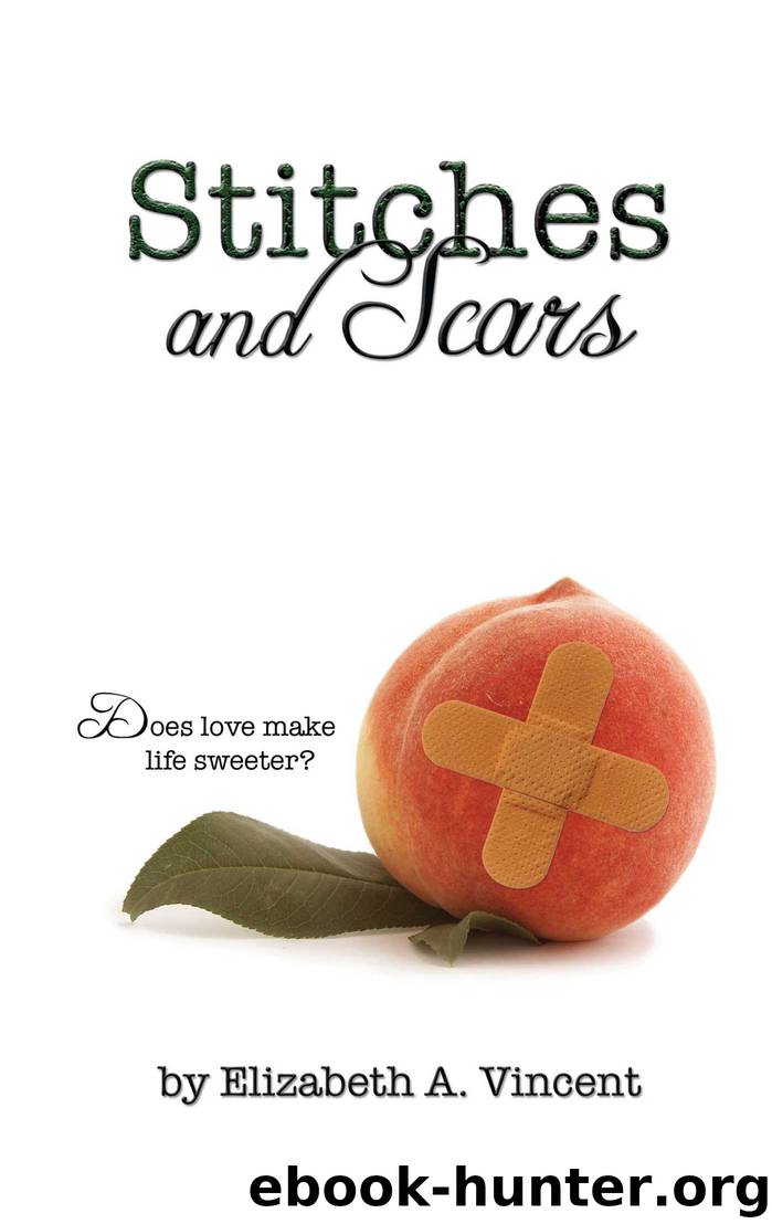 Stitches Scars by Elizabeth Vincent