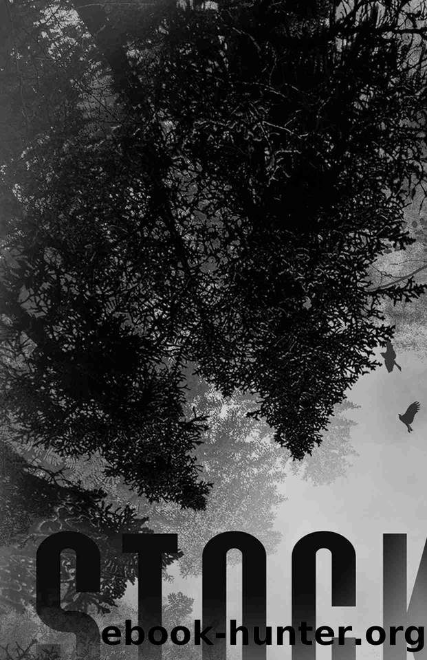 Stockholm: A Dark, Captivity Romance (Angel of Mercy Book 1) by L Taylor