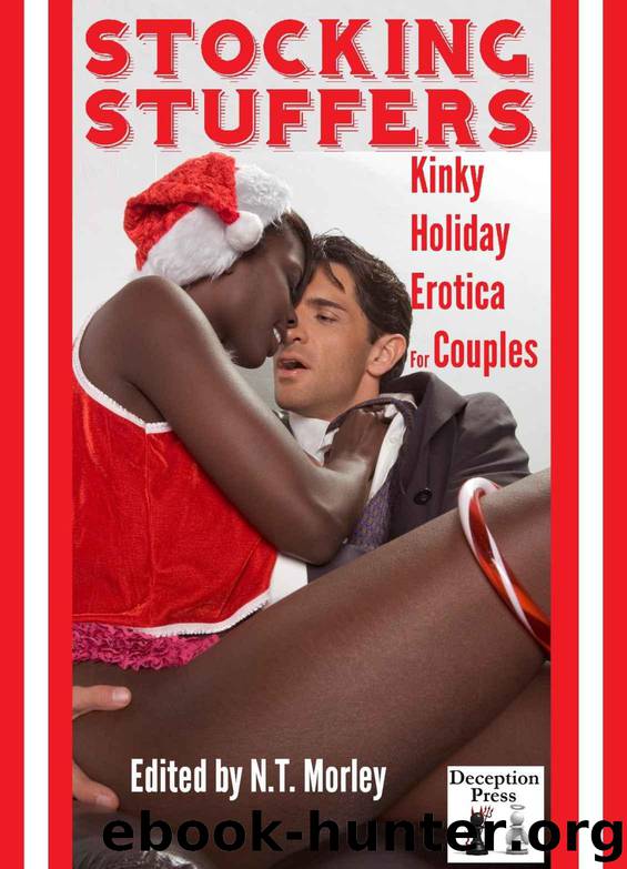 Stocking Stuffers: Kinky Holiday Erotica for Couples by N. T. Morley & Sarah Stein & Felix D'Angelo & Xavier Acton & Marie Sudac & Tammy Haywood & Tiffany Fischer & Rebecca Kelly