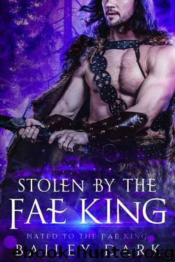 Stolen By The Fae King (Mated To The Fae King Book 1) by Bailey Dark