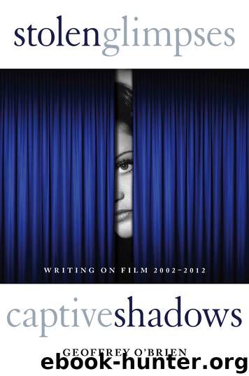 Stolen Glimpses, Captive Shadows by Geoffrey O'brien