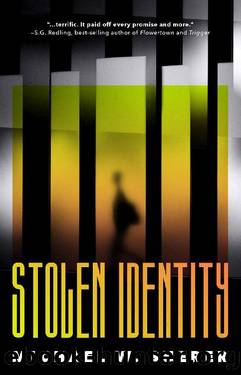 Stolen Identity by Michael W Sherer