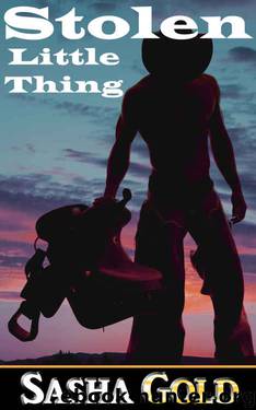 Stolen Little Thing (Little Thing Series Book 1) by Sasha Gold