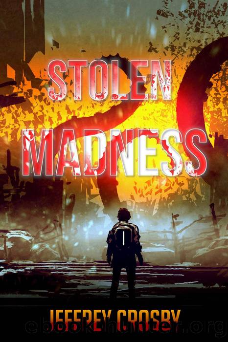 Stolen Madness by Jeffrey Crosby