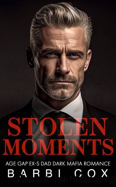 Stolen Moments by Barbi Cox