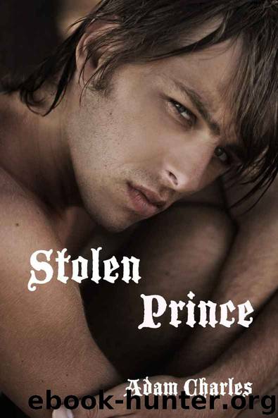 Stolen Prince (Daari 1) by Adam Charles