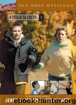 Stolen Secrets by Jerry B. Jenkins & Chris Fabry