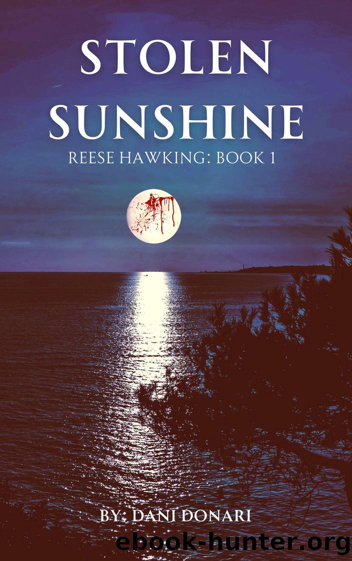 Stolen Sunshine by Dani Donari