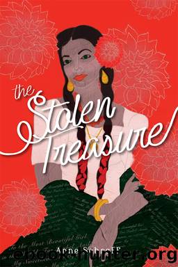 Stolen Treasure by Anne Schraff