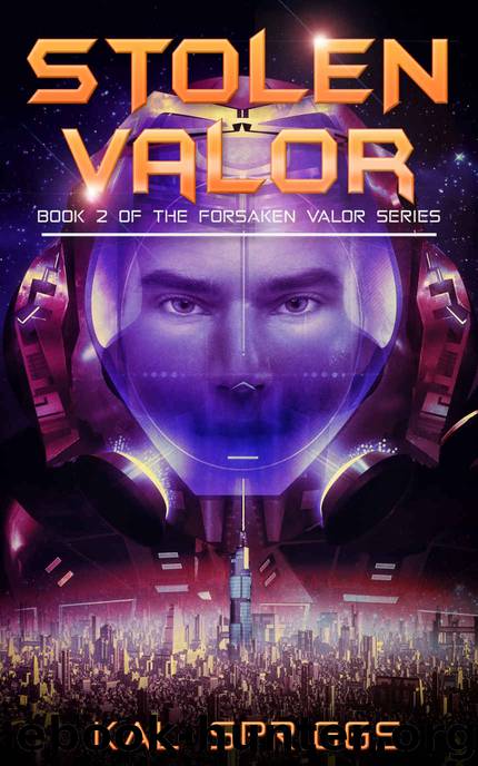 Stolen Valor by Kal Spriggs