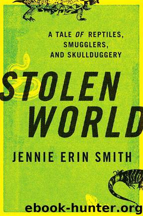 Stolen World by Smith Jennie Erin