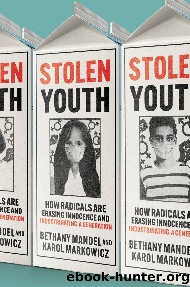 Stolen Youth by Bethany Mandel