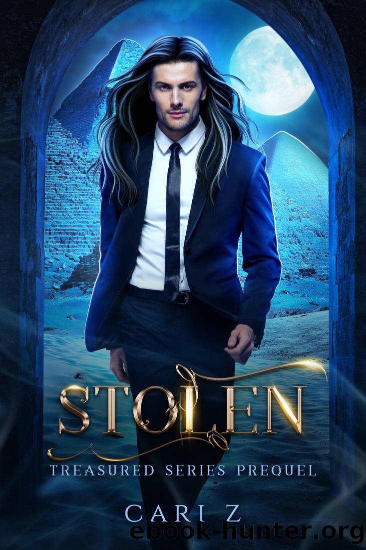 Stolen by Cari Z