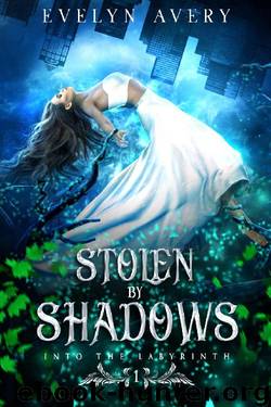 Stolen by Shadows: A Paranormal Reverse Harem Romance (Into the Labyrinth Book 1) by Evelyn Avery