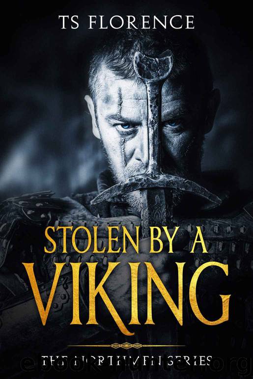 Stolen by a Viking by T S Florence