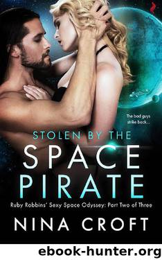 Stolen by the Space Pirate (Ruby Robbins' Sexy Space Odyssey)