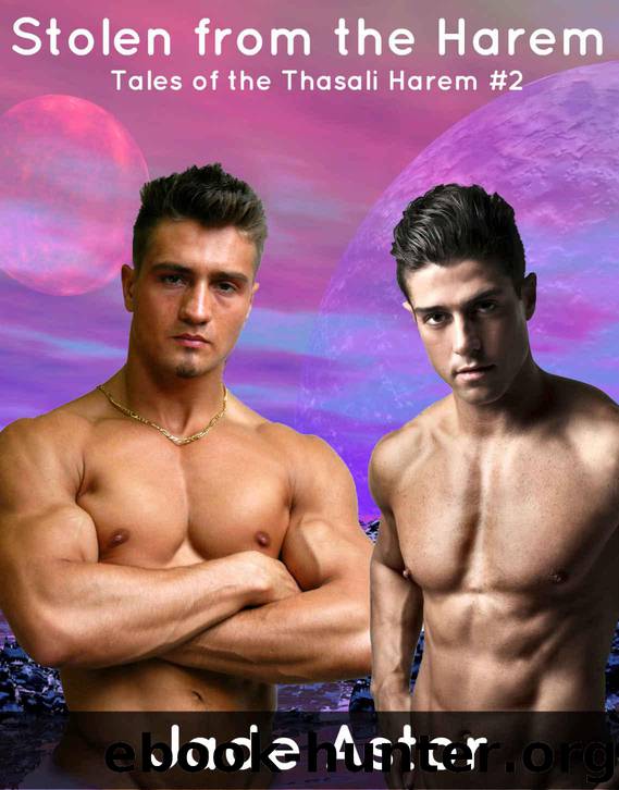 Stolen from the Harem (Tales of the Thasali Harem Book 2) by Astor Jade