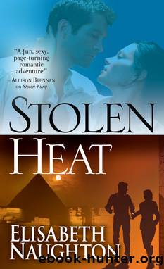 Stolen heat by Elisabeth Naughton
