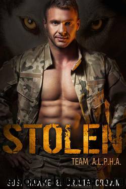 Stolen: An MM Mpreg Romance (Team A.L.P.H.A. Book 5) by Susi Hawke & Crista Crown