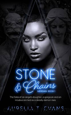 Stone &amp; Chains by Aurelia T. Evans