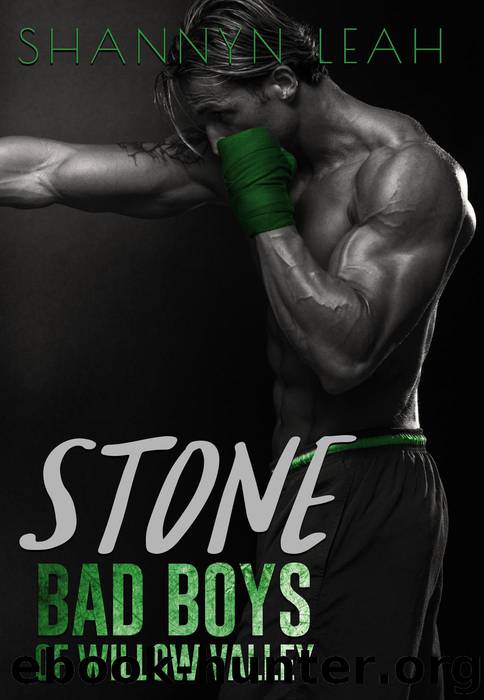 Stone (Bad Boys of Willow Valley) by Shannyn Leah