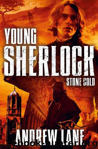 Stone Cold by Andrew Lane