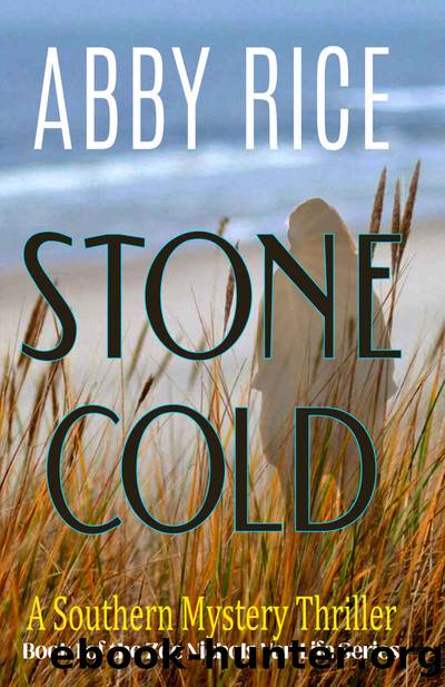 Stone Cold: A Southern Mystery Thriller (Book 1 of the Zoe Nichols Van-Life Series) by Abby Rice