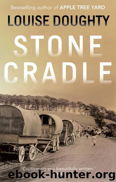 Stone Cradle by Louise Doughty