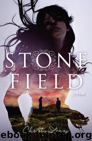 Stone Field by Christy Lenzi