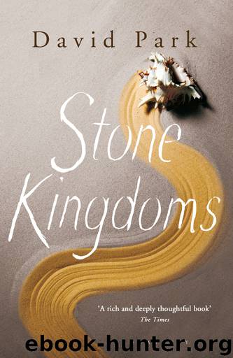 Stone Kingdoms by David Park